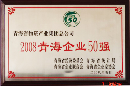 2008青海企業(yè)50強(qiáng)